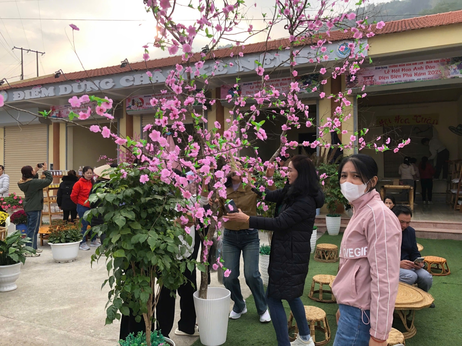 472964145 948651267453803 3045580186764868777 n