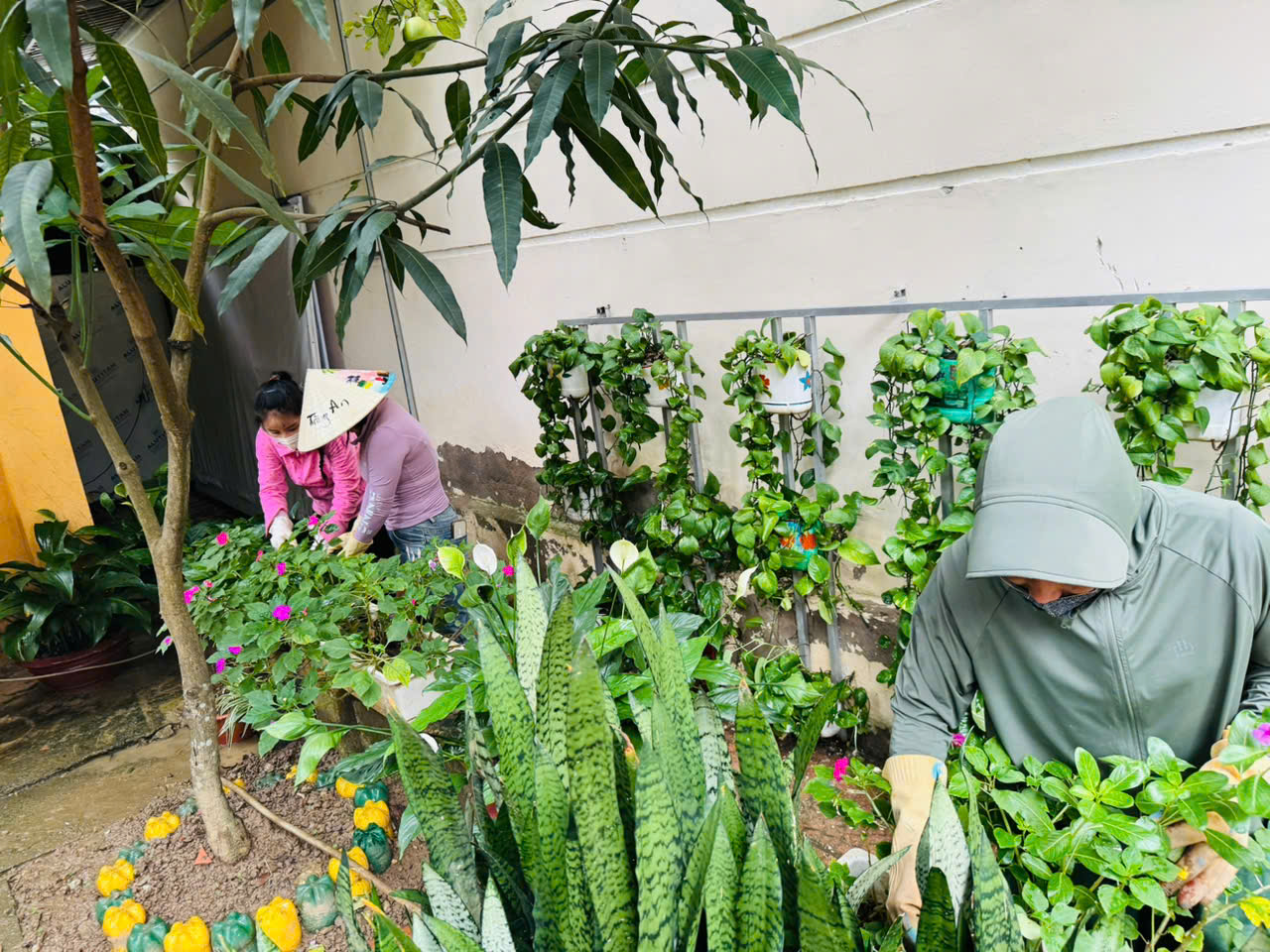 535227870 1114990040819924 1006783002331537650 n